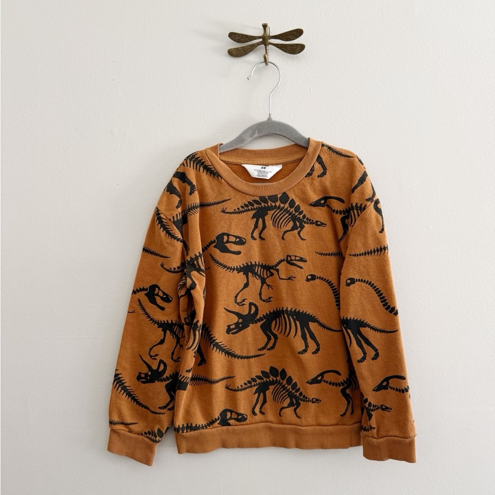 H&M Dinosaur Print Kids Sweatshirt 6/7 years